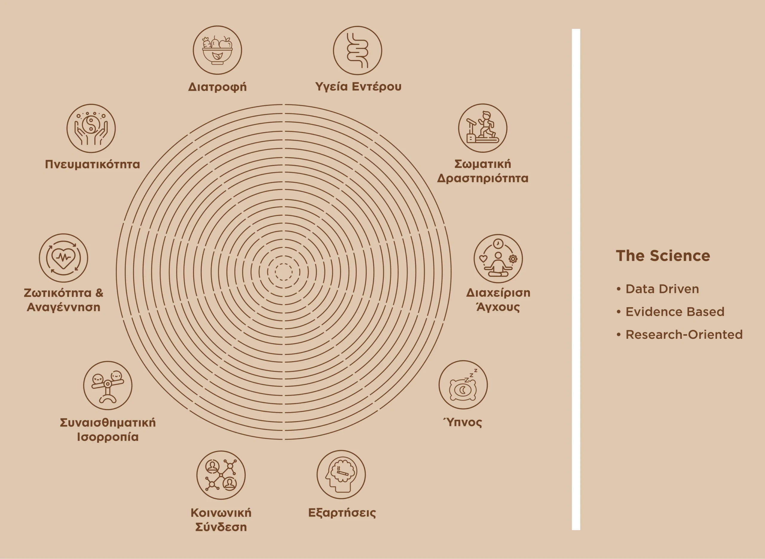 Holistic wellness wheel diagram showing elements of the Haya Method including nutrition, gut health, physical activity, sleep, stress management, and emotional balance.